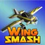 Wing Smash is an action game where you have to control a plane to cross the canyon. Collect gold coins, avoid collisions, and explore the world. This is an exciting adventure that you will definitely enjoy.